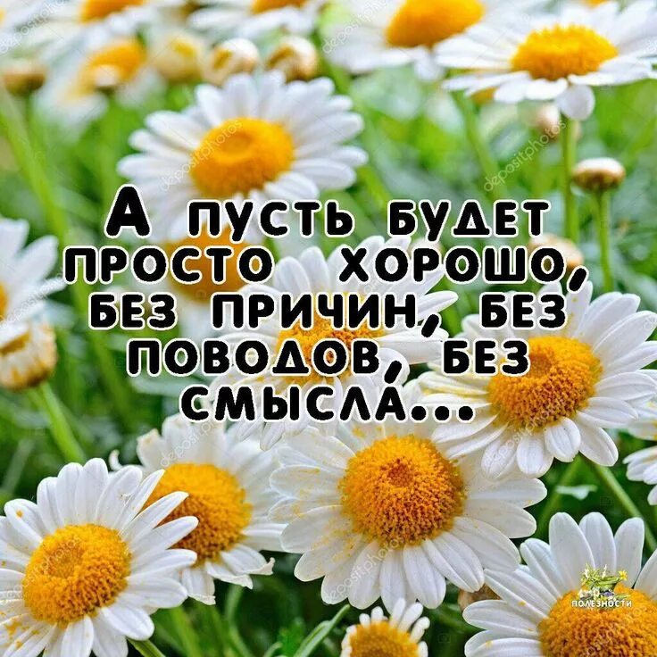 Пусть все будет хорошо картинки позитивные Пин на доске Позитив_Радость_Счастье Позитив, Позитивные цитаты, Цитаты про лето