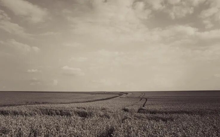 Пустое поле фото #sky, #sepia, #landscape, #field, wallpaper Landscape, Wallpaper, Sky