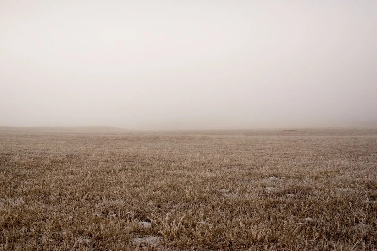 Пустое поле фото Free Images : landscape, horizon, marsh, fog, mist, field, wheat, prairie, morni