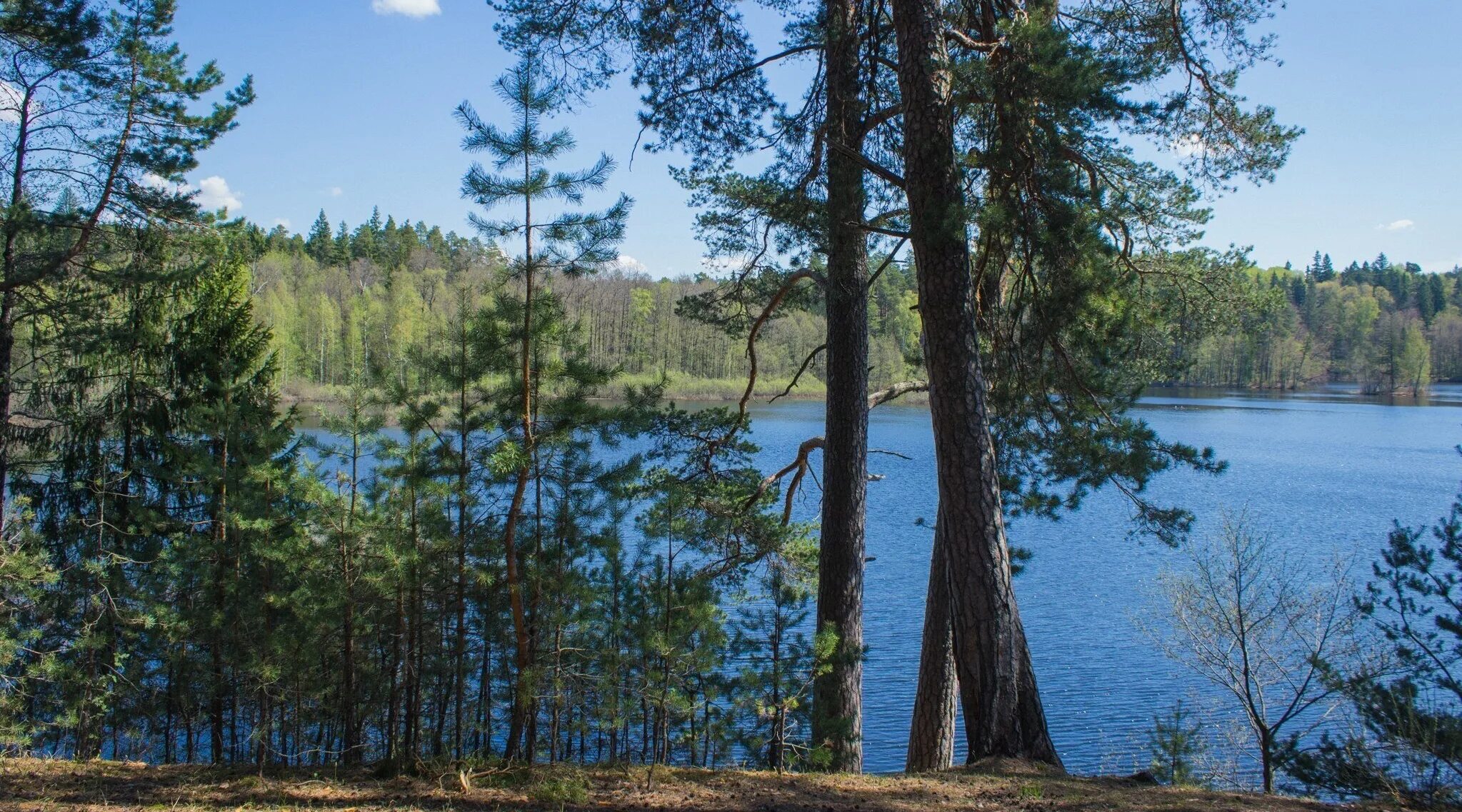 Пустынские озера нижегородская область фото Навашино - Исторический багаж