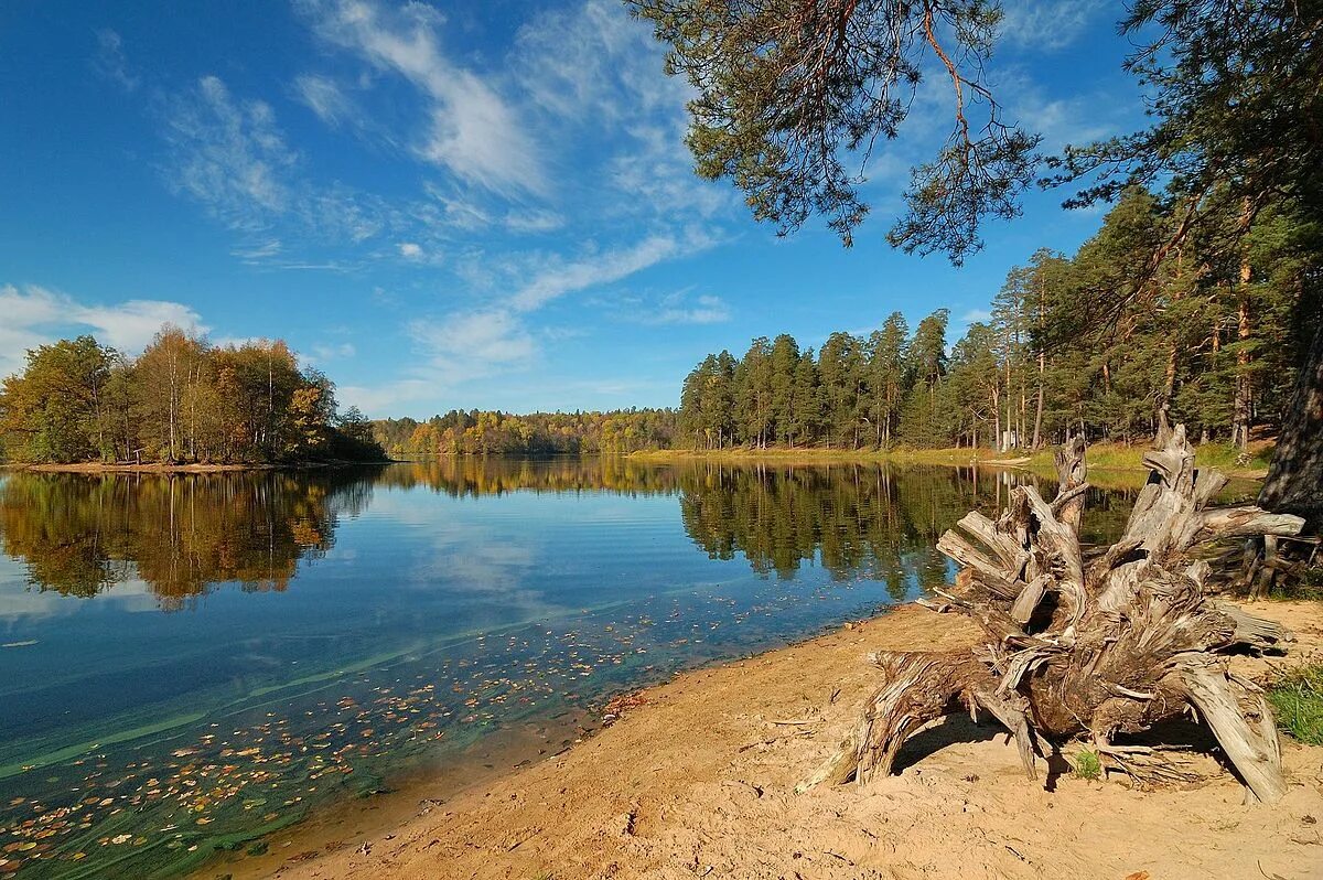 Пустынские озера нижегородская область фото Файл:Pustynskie ozera 2.jpg - Википедия