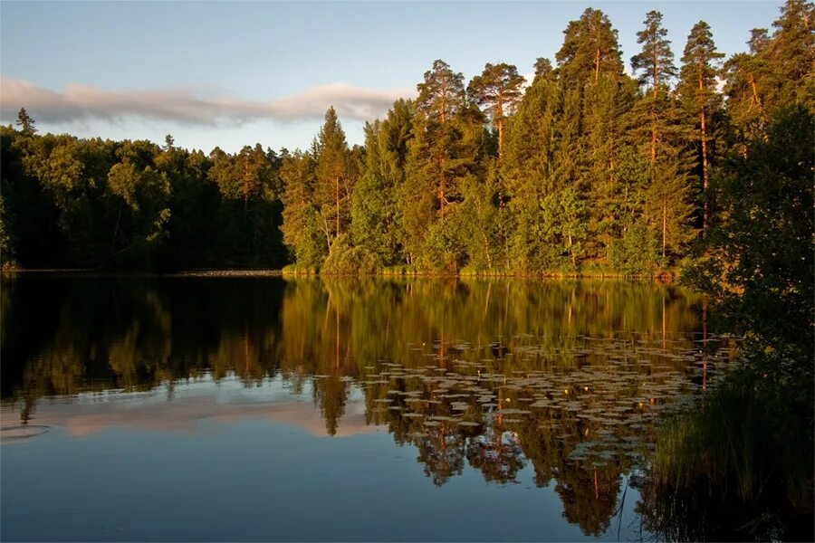 Пустынские озера нижегородская область фото Куда бы съездить с палатками? - обсуждение (2309296) на форуме nn.ru