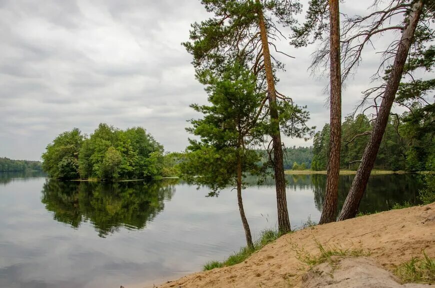 Пустынский заказник озеро долгое фото Где искупаться в Нижнем Новгороде и области?