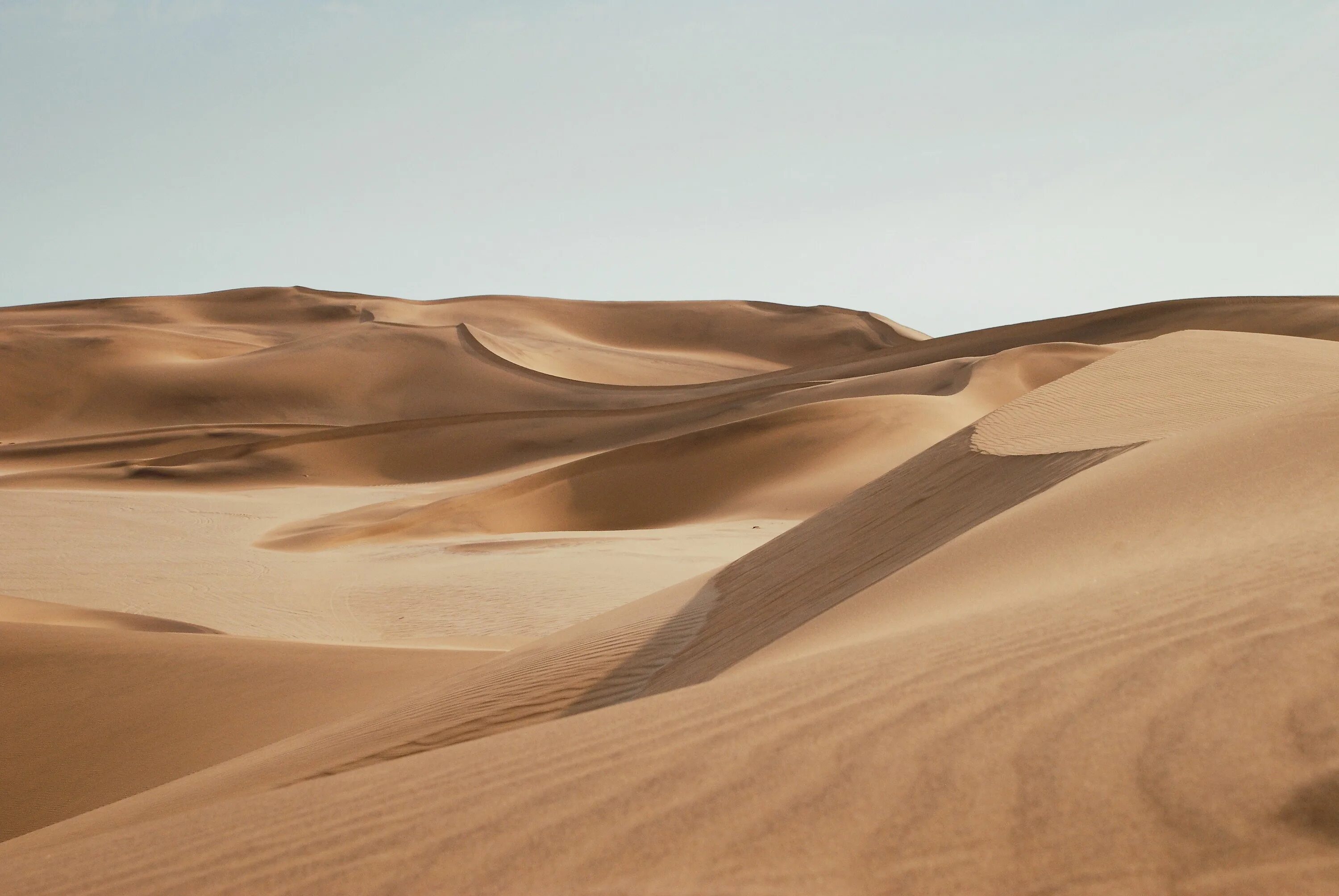 Пустыня песчаные барханы холст масло фото Dunes of Namib - Photo by Keith Hardy Desert pictures, Desert photography, Deser