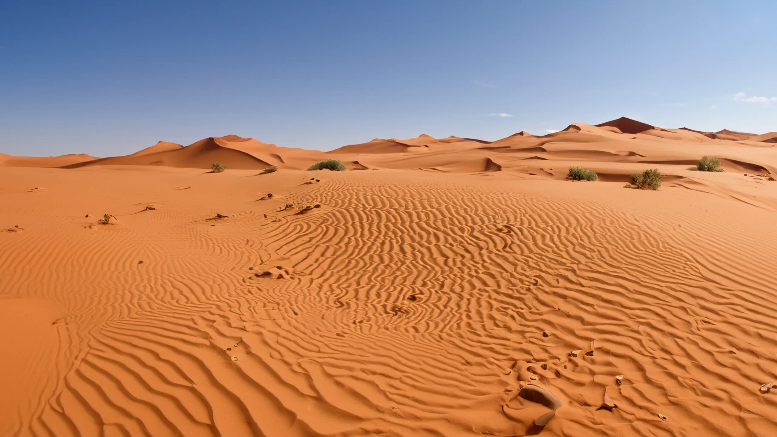 Пустыня сахара сегодня фото Wallpaper : Sahara, desert, dunes 2560x1440 - gkarsten6 - 2252048 - HD Wallpaper