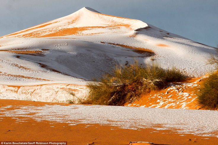 Пустыня зимой фото Зимнее чудо: снегопад в пустыне Сахара Snow in the sahara, Desert snow, Cool lan