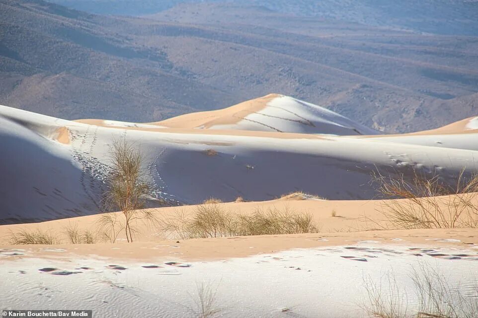 Пустыня зимой фото SNOW falls in the SAHARA in rare desert phenomenon after temperatures plummeted 