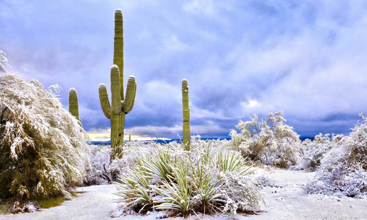 Las dunas del Sáhara se han cubierto de nieve este fin de semana y el resultado 