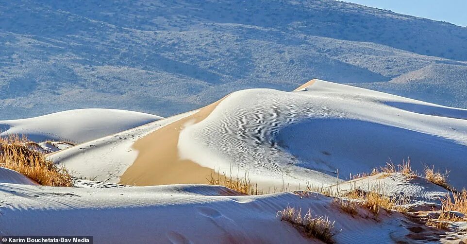 Пустыня зимой фото Ice blankets the Sahara desert while snow falls in Saudi Arabia where temperatur