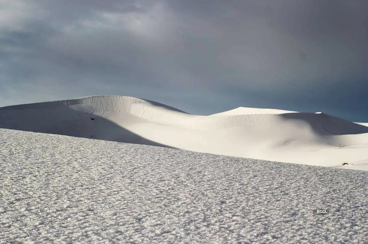 Пустыня зимой фото Take a look at the snow-covered sand dunes in the small Saharan Desert town of A