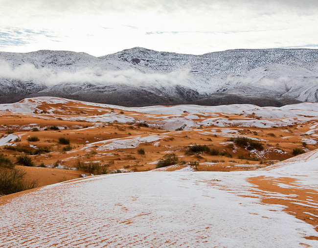 Пустыня зимой фото Las dunas del Sáhara se han cubierto de nieve este fin de semana y el resultado 