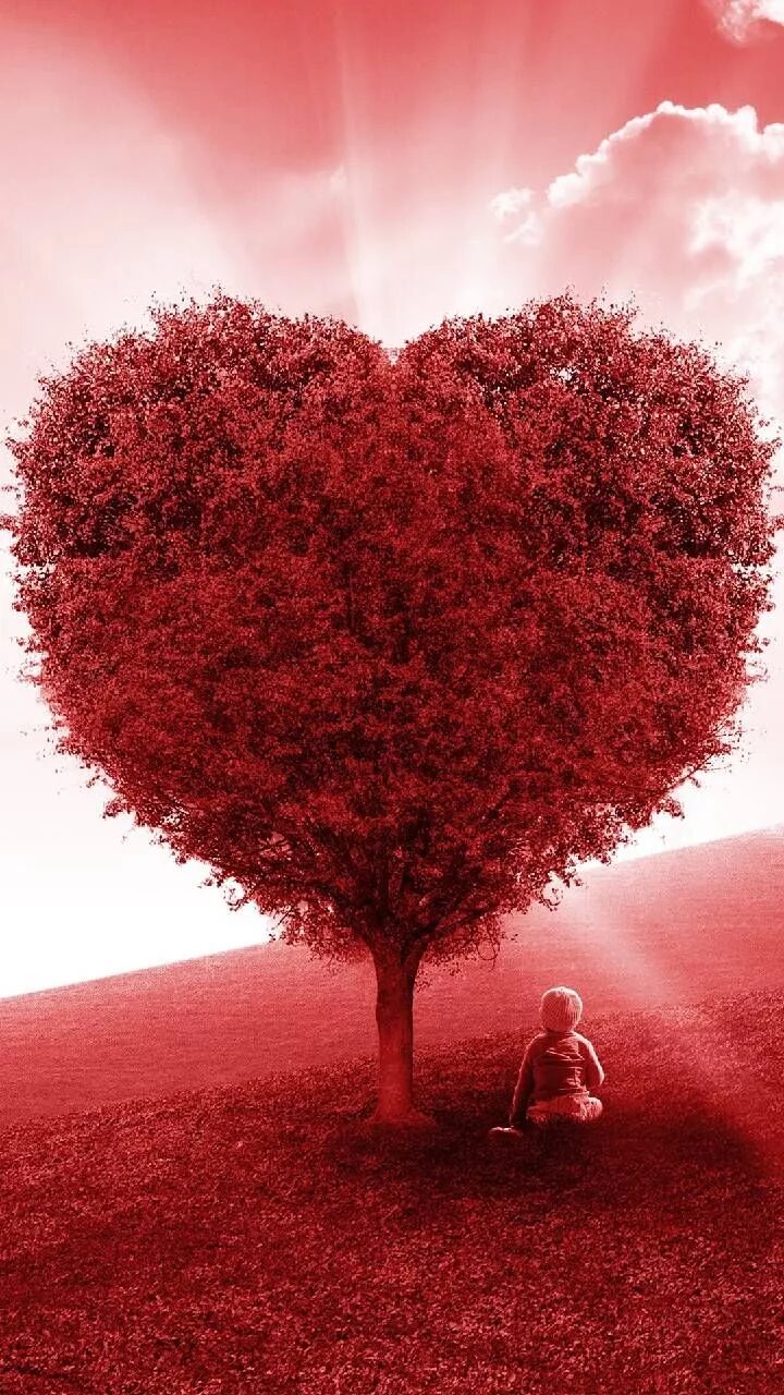 Путь сердца фото Download Red Love Heart Tree Wallpaper by pramucc - ff - Free on ZEDGE ™ now. Br