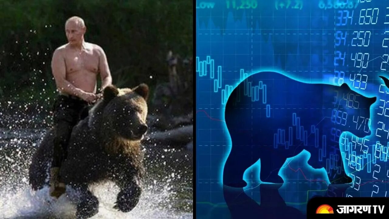 Путин на медведе фото Indian Share Market reacts to Russia-Ukraine War, Sensex and Nifty take deep plu