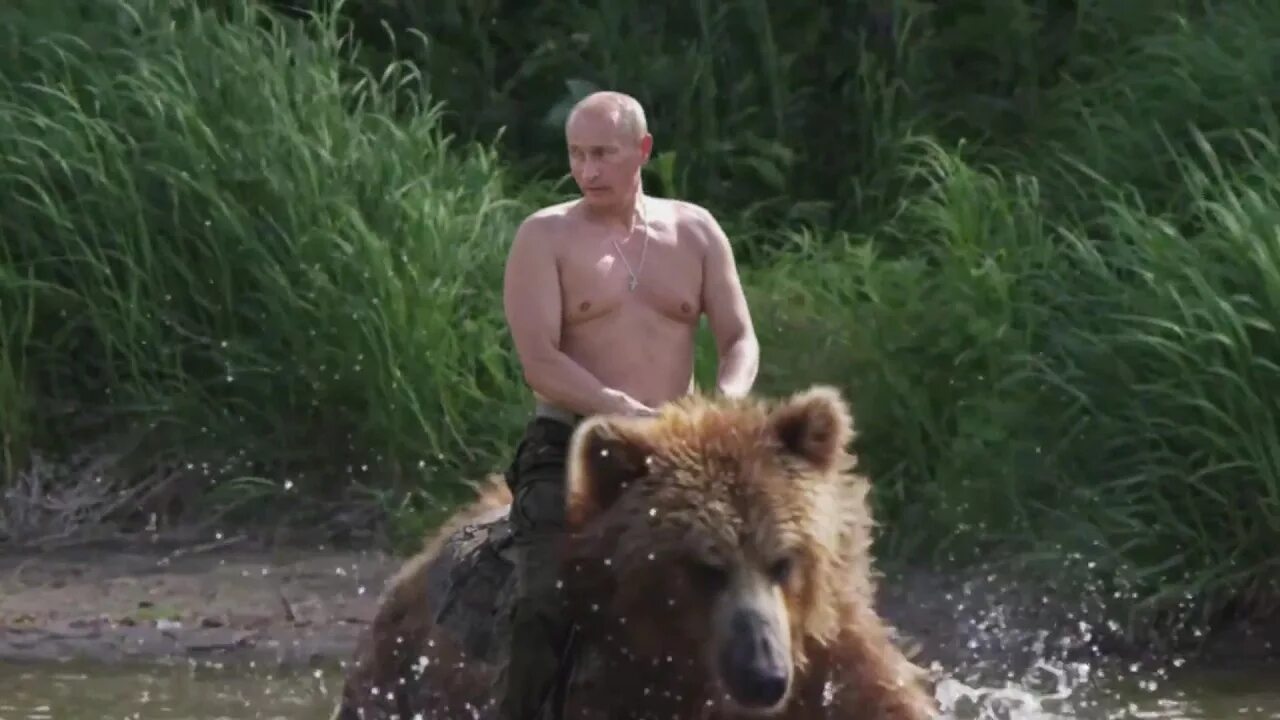 Путин на медведе фото Putin em cima de um Urso (Video 100% Verídico!) - YouTube