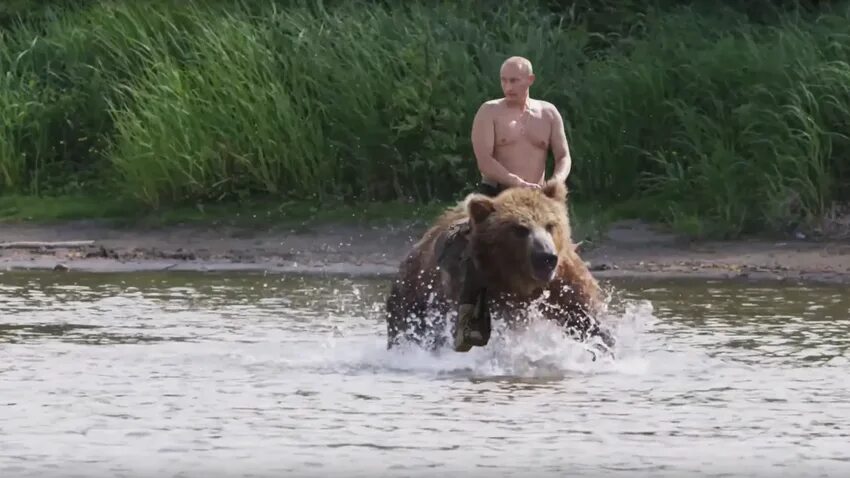 Путин на медведе фото в хорошем качестве Watch Vladimir Putin meet bears and go fishing in Russia’s Far East - Russia Bey