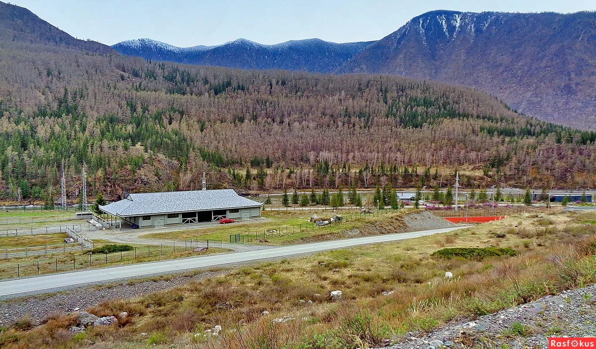 Путин в горном алтае фото Фото: Резиденция Путина В.В.. Фотограф путешественник ЛюдМила. Пейзаж. Фотосайт 