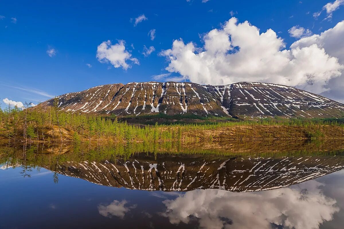 Путорана красноярский край фото File:Заполярная черепаха.jpg - Wikipedia