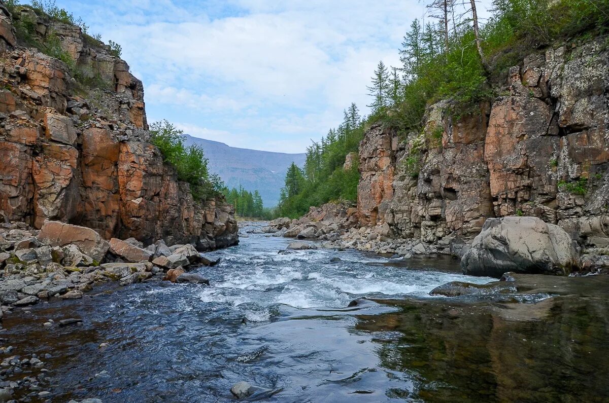 Путоранский заповедник фото Путоранский заповедник начнут очищать от мусора советских времен