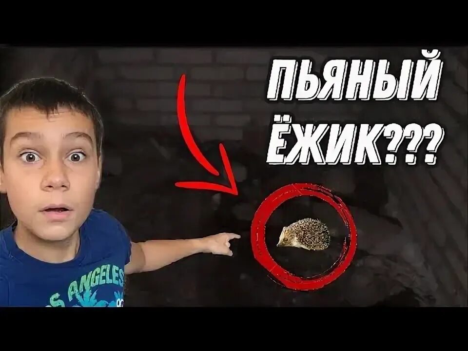 Пьяный ежик дух фото ВЫЗВАЛИ ПЬЯНОГО ЕЖИКА!?! Вызов духов Пьяный ёжик Наш первый призыв в заброшке H2