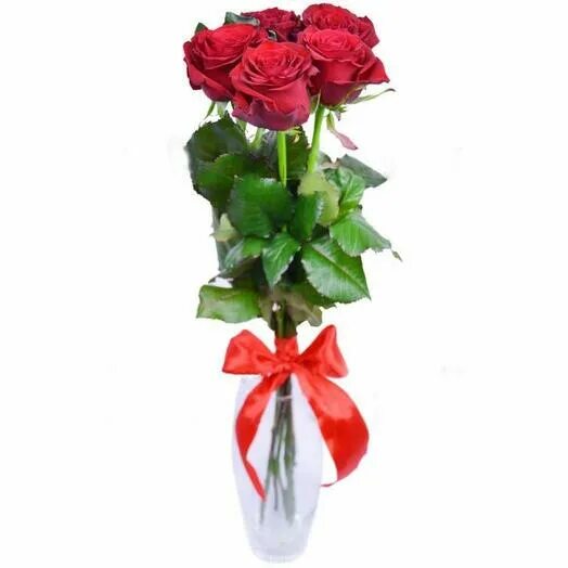 Пять роз букет фото 5 red roses 60 cm. Ecuador, 1976 RUB, delivery in 30 min Flowwow - flower delive