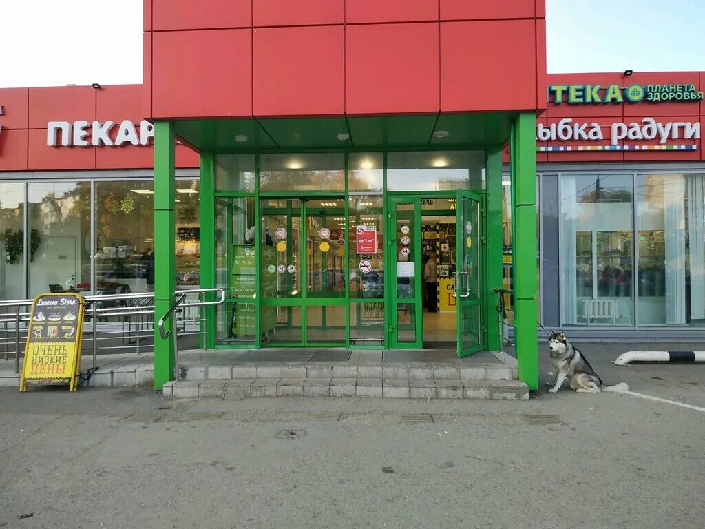 Пятерочка ул космонавта беляева 49а фото Pyatyorochka, supermarket, Russia, Perm, Kosmonavta Leonova Street, 43Б - Yandex