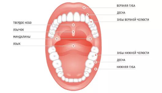 Пятна на небе во рту фото Болит небо во рту: причины и лечение - Стоматология "АльфаДент" в Оренбурге