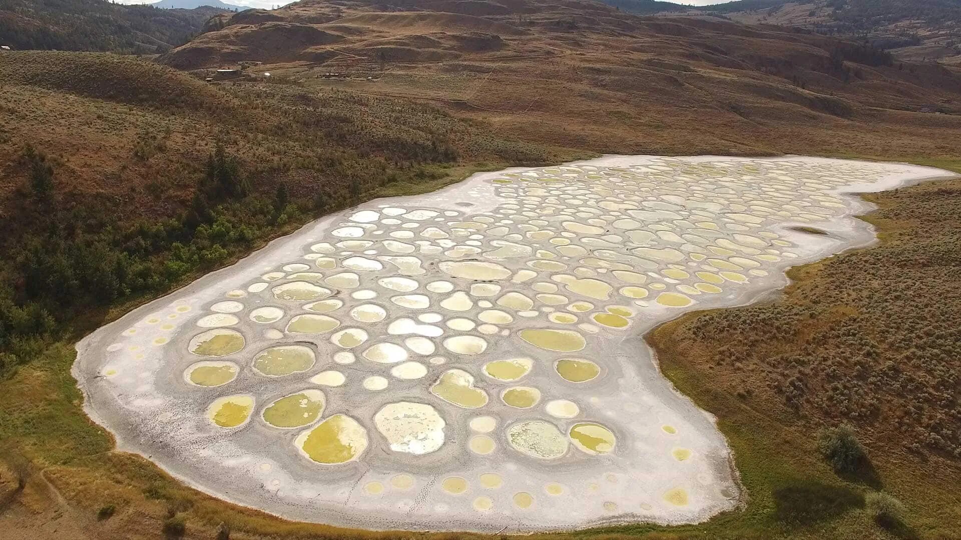 Пятнистое озеро фото BC’s Spotted Lake Is The Most Magical Place in Canada - The Wild Canadian Year