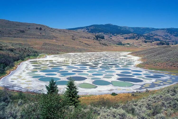 Пятнистое озеро фото Spotted Lake near Osoyoos, South Okanagan Valley, BC, British Columbia, Canada -