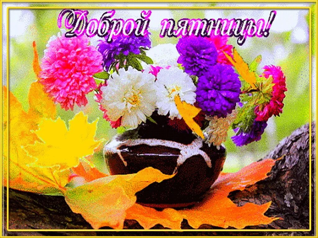 Пятница октябрь доброе утро картинки GOOD FRIDAY,FRIENDS ! Then came Friday, Congratulations to all, ! friends It was