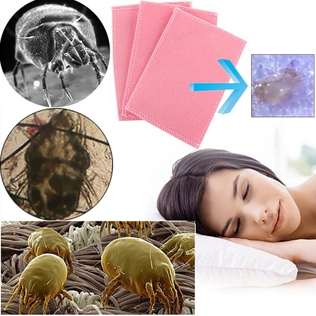 Пылевые клещи как выглядят на коже Mite Killing Pad Anti-mite Pad Cushion For Home Hotel Killing Small - купить по 