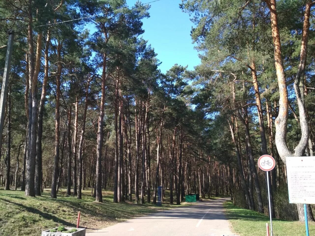 Пышки гродно тропа здоровья фото Фото: Пышки, парк культуры и отдыха, Гродно, тропа Здоровья - Яндекс Карты