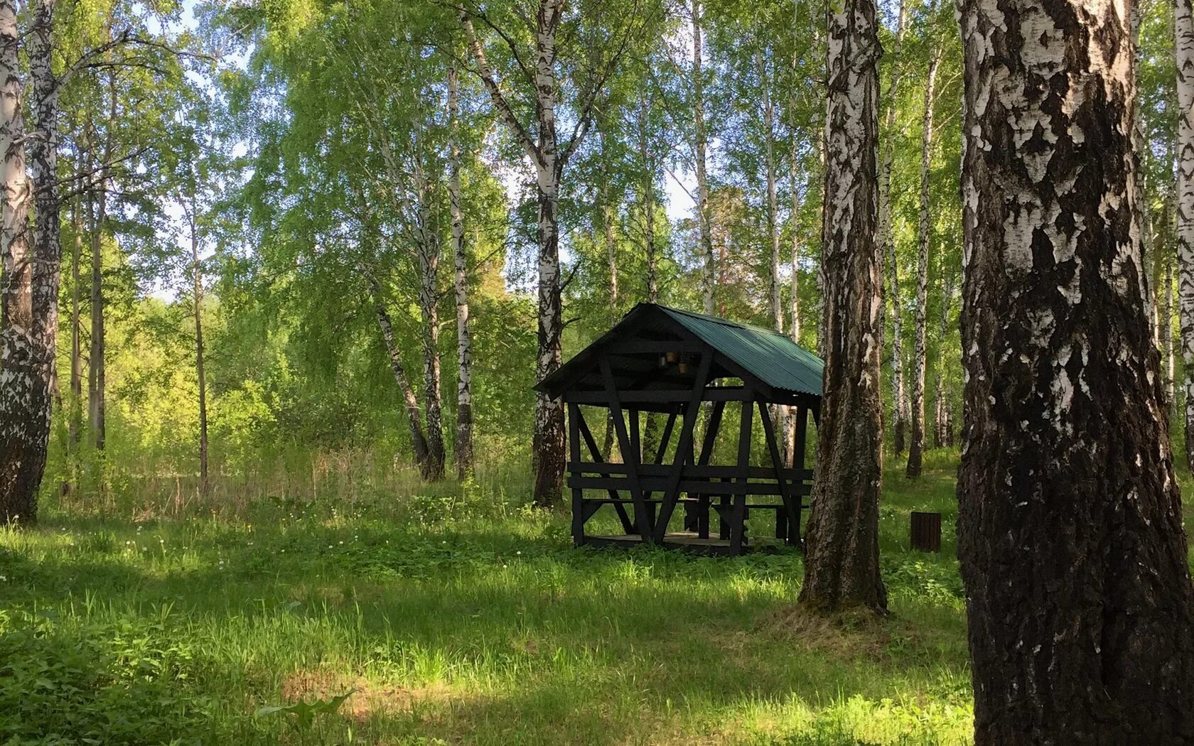 Пышминские озерки фото екатеринбург Беседки и домики Огонь Пляж