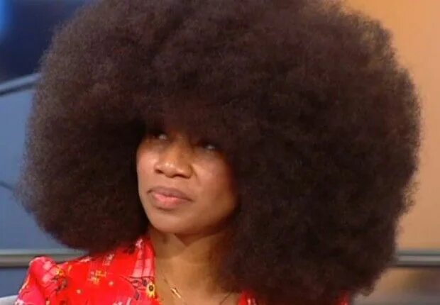 Пышная прическа Aevin Dugas holds the Guinness World Record for largest Afro! #LimelightApproved