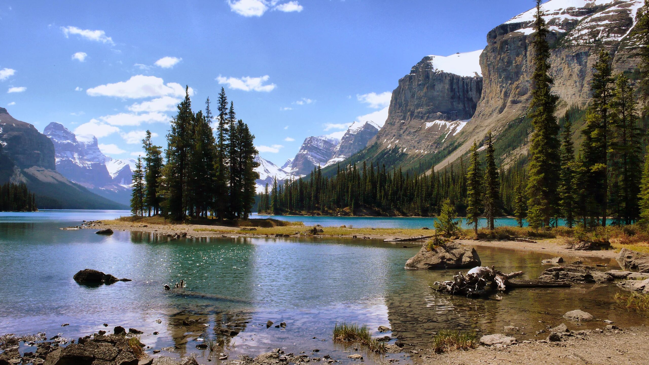 Р обой на фото Wallpaper Green Trees Near Lake and Mountain Under Blue Sky During Daytime, Back