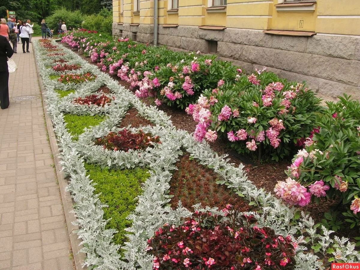 Рабатка в ландшафтном дизайне Оформление рабатки своими руками - растения и цветы для рабаток