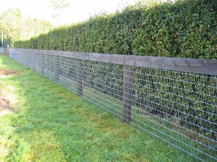 Рабица для забора фото цена Mesh Horse fence. Click on image. Backyard fences, Farm fence, Horse fencing