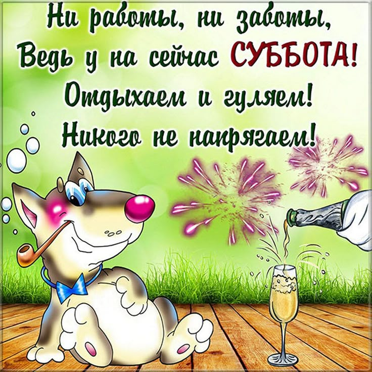 Рабочее утро субботы картинки прикольные Прикольная открытка с субботой и стихами Открытки, Субботы, Смешные открытки