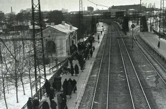 Рабочий поселок москва фото Рабочий посёлок" снесли вопреки протестам активистов