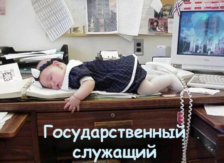 Работа картинки прикольные фото Pin by Ира Еремина on Работа Funny pictures, Kodak moment, Funny