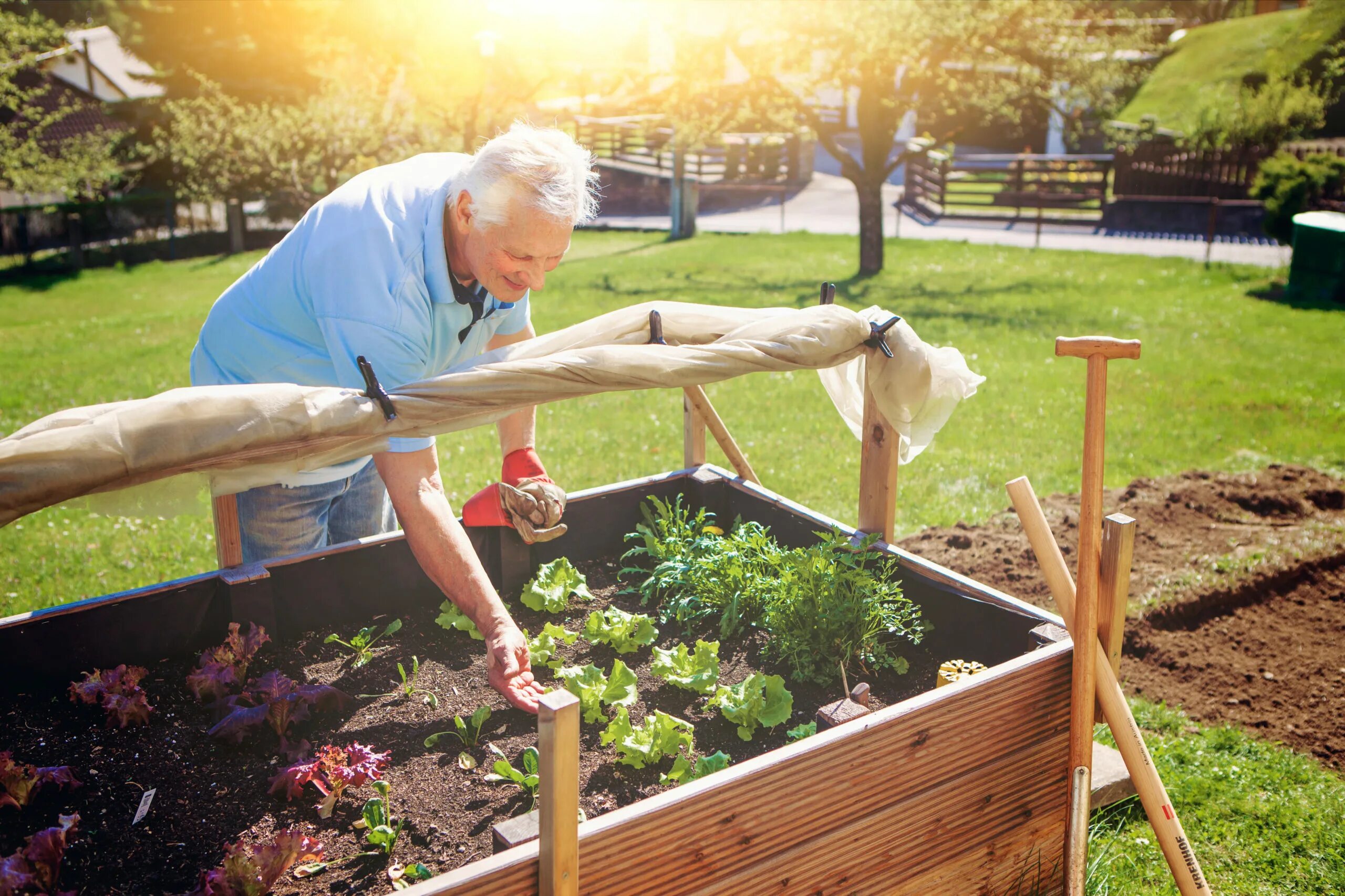 Работа на даче фото Tips to Avoid Joint Pain When Gardening - Joint Fuel 360