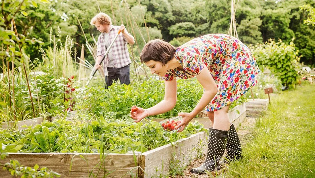 Работа на даче фото Good Housekeeping Hearst Canteiro de jardim, Canteiro de jardim elevado, Jardins