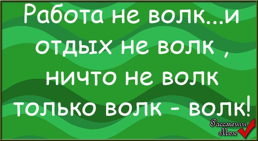 Работа не волк фото Анекдоты опубликовал пост от 4 июня 2015 в 19:20 Фотострана Пост № 649450854