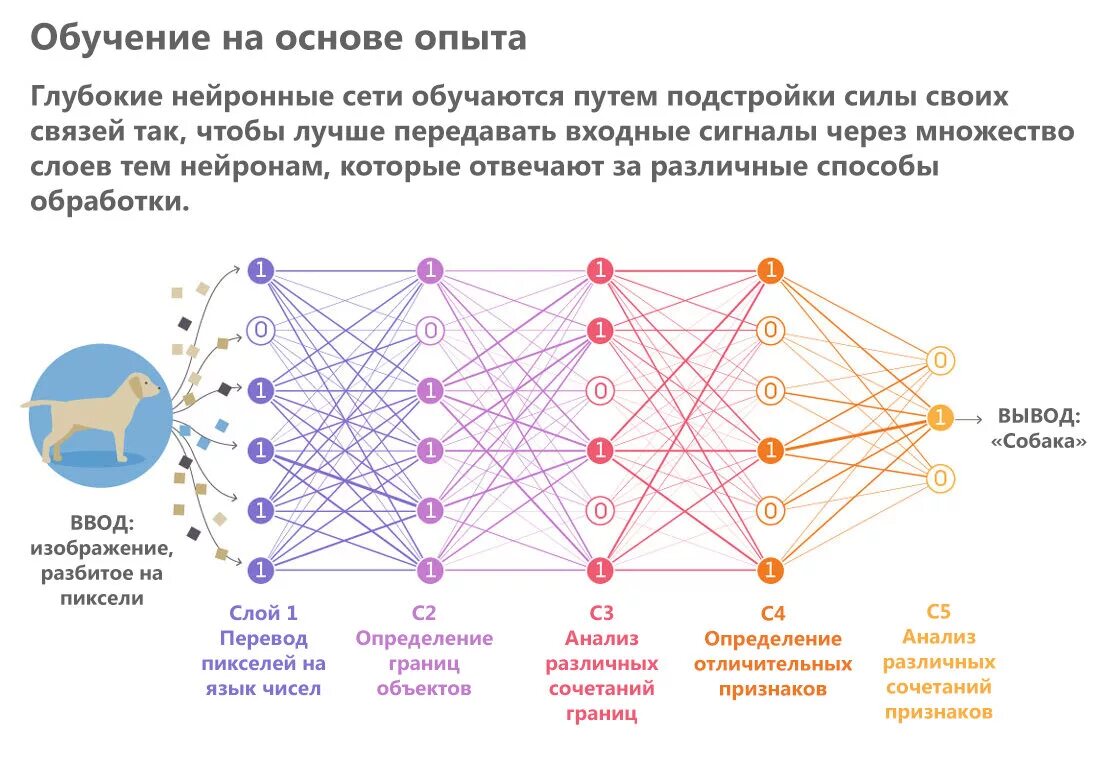 Работа с фото с помощью нейросети Нейросеть для создания практики