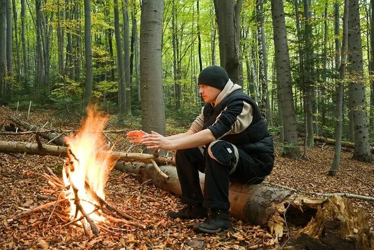 Работа в лесу фото Basic Survival Skills Every Prepper Should Master ASAP Survival, Lost in the woo