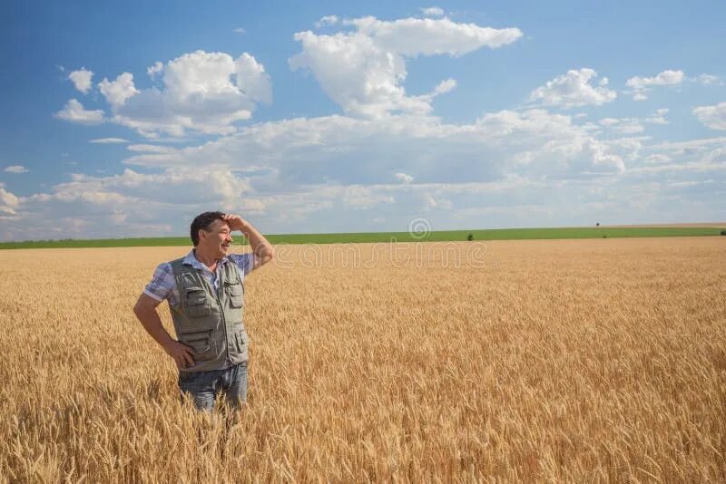 Работа в поле фото Man Stands on Burnt Field with Some Remains of Green Grass and Lonely Tree on it