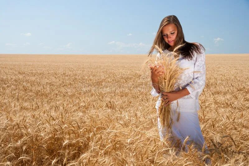 Работа в поле фото Girl on wheat field stock image. Image of life, person - 25665109