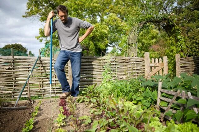 Работаем на даче фото Natural Fertilizer - Boost Your Plant Growth