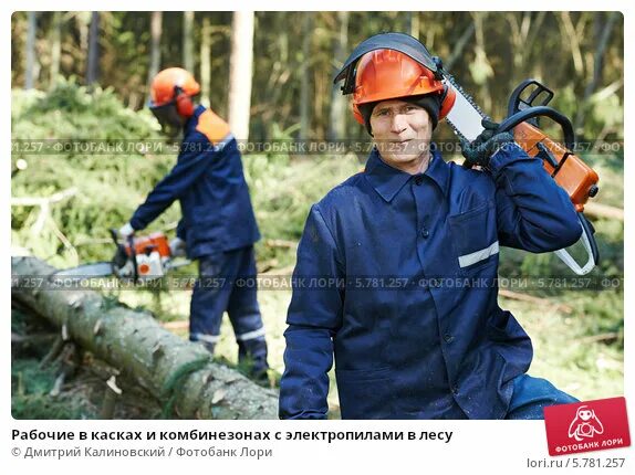 Работники леса фото Рабочие в касках и комбинезонах с электропилами в лесу. Стоковое фото № 5781257,