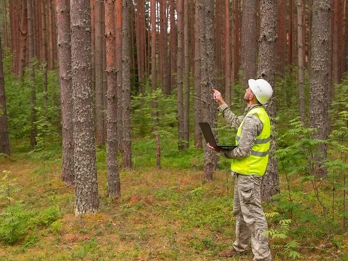 Работники леса фото New strategies for climate-resilient, biodiverse forests B4EST Project Results i