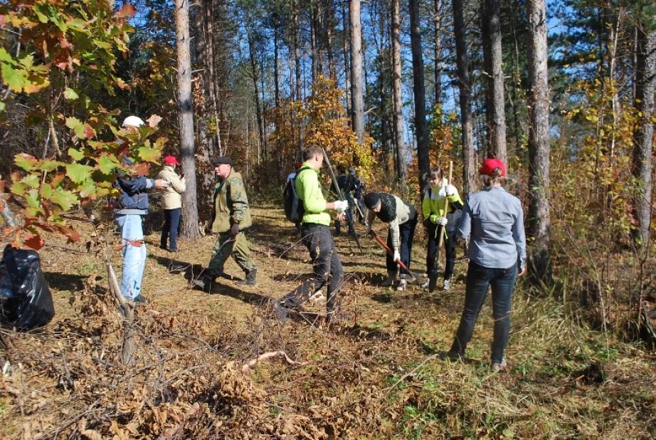 Работники леса картинки Более 100 человек приняли участие в акции "Живи, лес!" в окрестностях Хабаровска